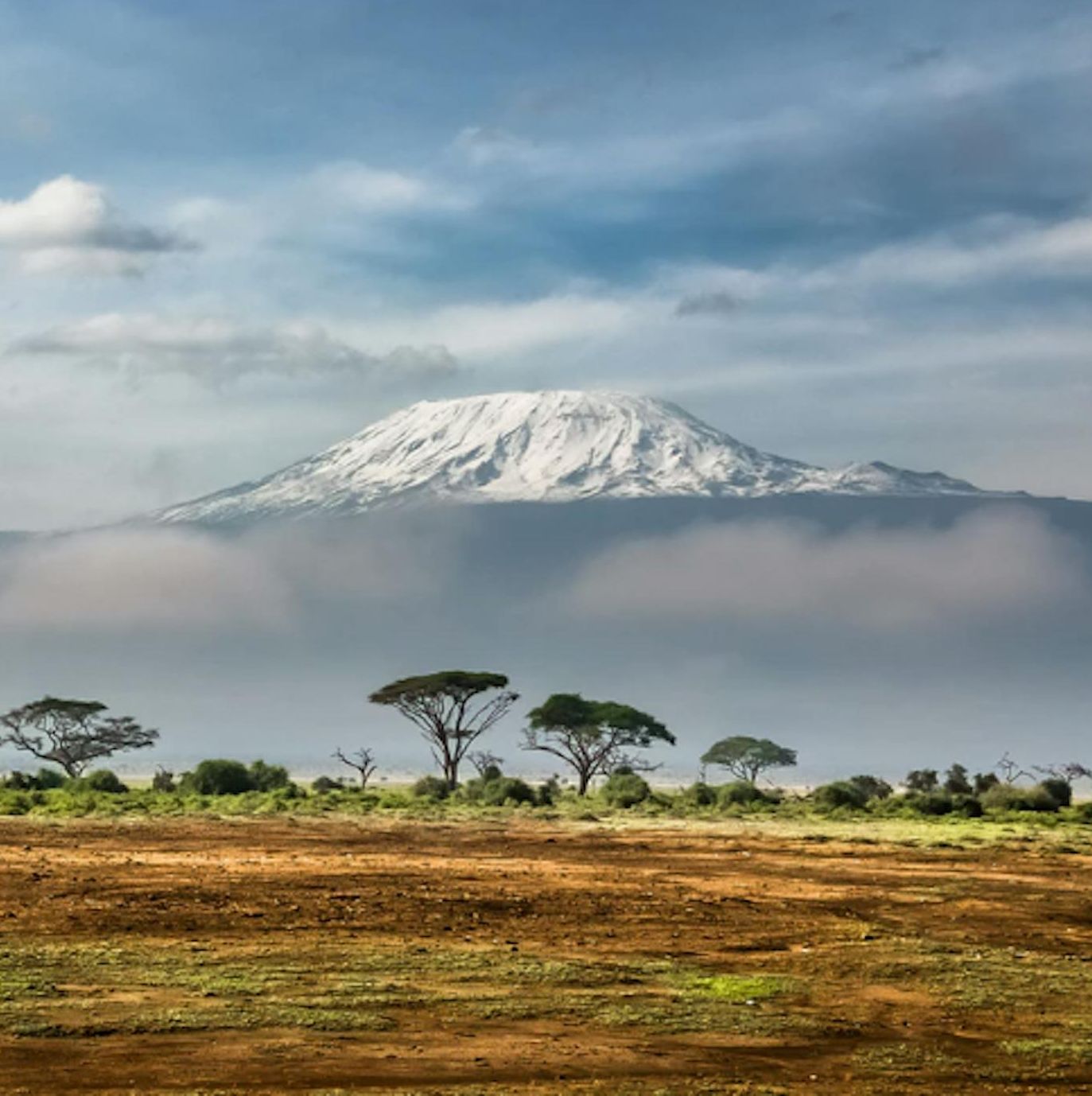 kilimanjaro