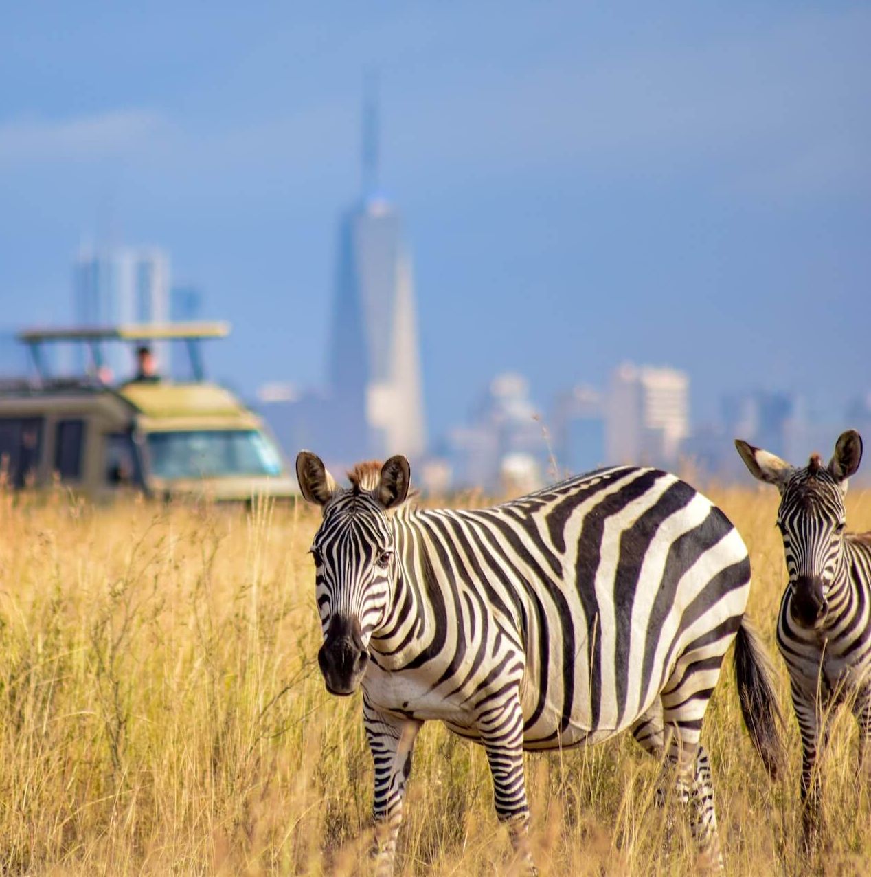 nairobipark